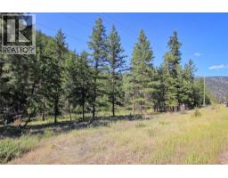 Lot 1 Old Hedley Road, Princeton, BC V0X1W0 Photo 25