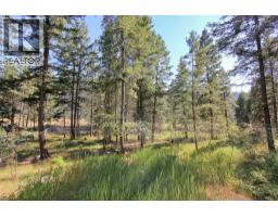 Lot 1 Old Hedley Road, Princeton, BC V0X1W0 Photo 16