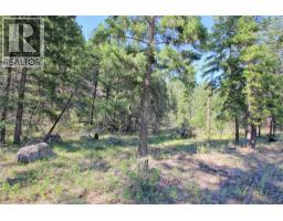 Lot 1 Old Hedley Road, Princeton, BC V0X1W0 Photo 23