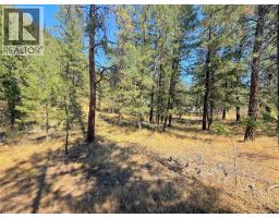 Lot 1 Old Hedley Road, Princeton, BC V0X1W0 Photo 8