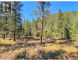 Lot 1 Old Hedley Road, Princeton, BC V0X1W0 Photo 7