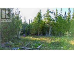 8 Devils Glen, Northern Bruce Peninsula, ON N0H1X0 Photo 10