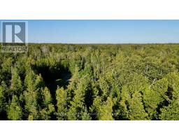 8 Devils Glen, Northern Bruce Peninsula, ON N0H1X0 Photo 12