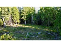8 Devils Glen, Northern Bruce Peninsula, ON N0H1X0 Photo 23