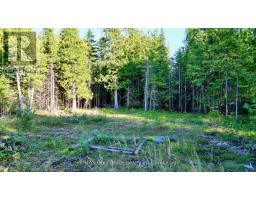 8 Devils Glen, Northern Bruce Peninsula, ON N0H1X0 Photo 6