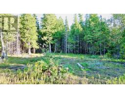 8 Devils Glen, Northern Bruce Peninsula, ON N0H1X0 Photo 7