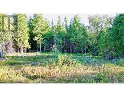 8 Devils Glen, Northern Bruce Peninsula, ON N0H1X0 Photo 8