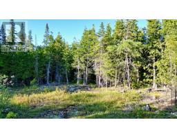 8 Devils Glen, Northern Bruce Peninsula, ON N0H1X0 Photo 9