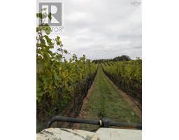 4113 Highway 340, Carleton, NS B5A5N9 Photo 18