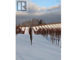 4113 Highway 340, Carleton, NS B5A5N9 Photo 25