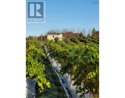 4113 Highway 340, Carleton, NS B5A5N9 Photo 31