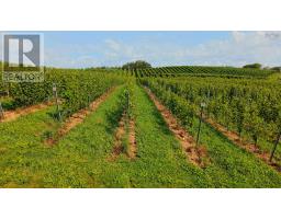 4113 Highway 340, Carleton, NS B5A5N9 Photo 40