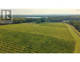 4113 Highway 340, Carleton, NS B5A5N9 Photo 42