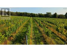 4113 Highway 340, Carleton, NS B5A5N9 Photo 44