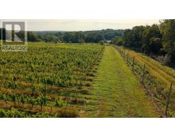 4113 Highway 340, Carleton, NS B5A5N9 Photo 43