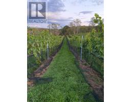 4113 Highway 340, Carleton, NS B5A5N9 Photo 41