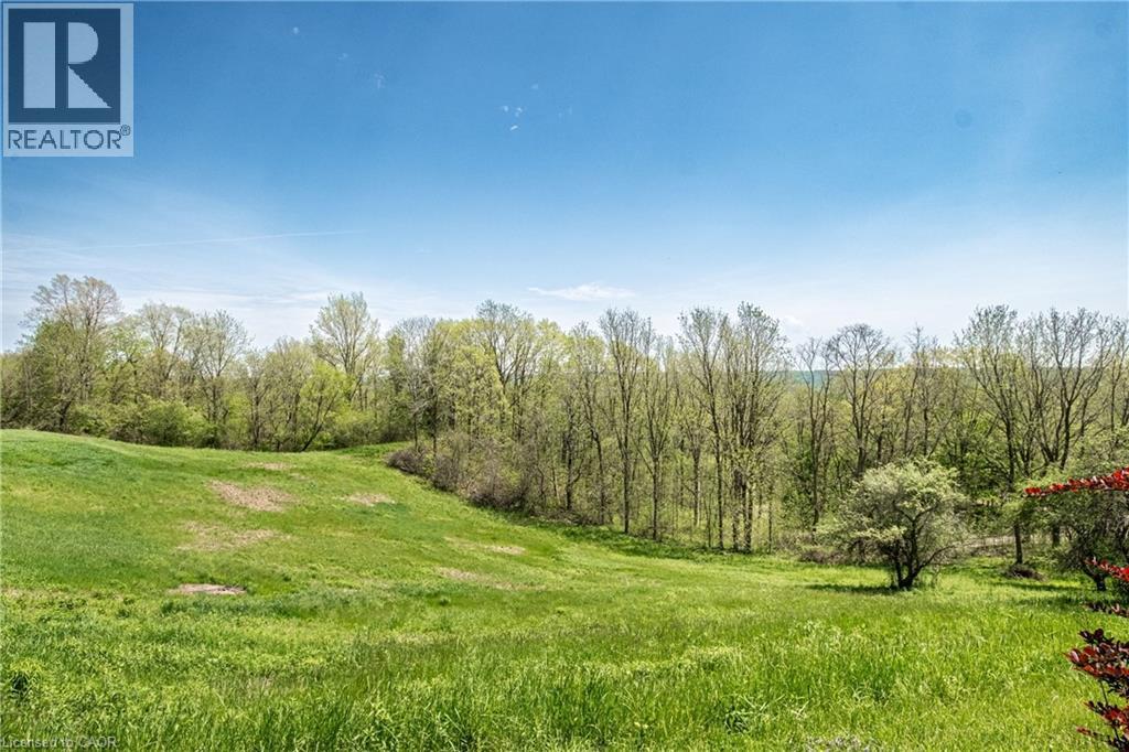 176 WEIRS Lane - Image 49
