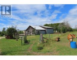 649 The Bury Road, Northern Bruce Peninsula, ON N0H1W0 Photo 10