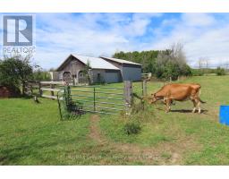649 The Bury Road, Northern Bruce Peninsula, ON N0H1W0 Photo 14