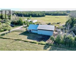 649 The Bury Road, Northern Bruce Peninsula, ON N0H1W0 Photo 29