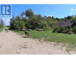 649 The Bury Road, Northern Bruce Peninsula, ON N0H1W0 Photo 7