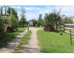 649 The Bury Road, Northern Bruce Peninsula, ON N0H1W0 Photo 8
