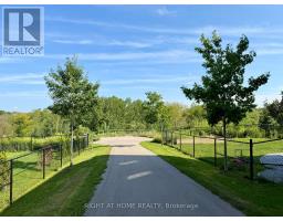 972 Green Street, Innisfil, ON L0L1W0 Photo 48