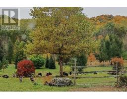 17218 Innis Lake Road, Caledon, ON L7K2K6 Photo 8