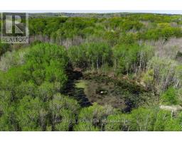 17218 Innis Lake Road, Caledon, ON L7K2K6 Photo 7