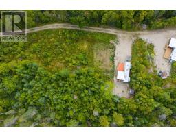 56 Evergreen Hill, Bayswater, NS B0J1T0 Photo 24