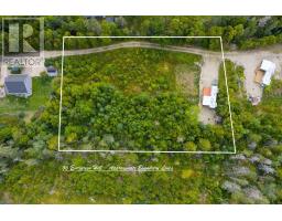 56 Evergreen Hill, Bayswater, NS B0J1T0 Photo 7