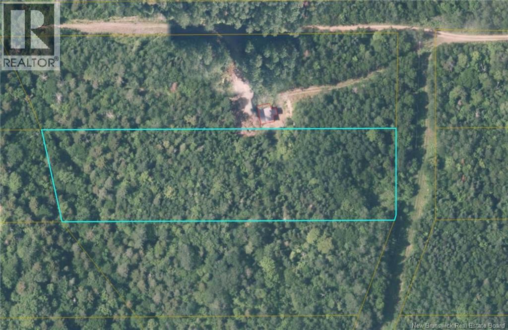 87-13 Birch Ridge Road