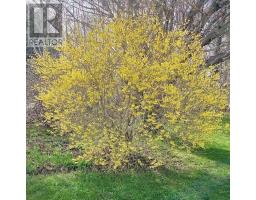 3395 Highway 358 Arlington Ns    B0p 1h0, Arlington, NS B0P1H0 Photo 13