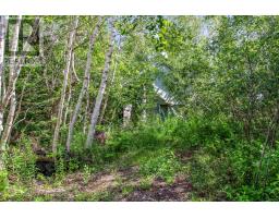 2113 Fire Lane, Torbrook, NS B0P1R0 Photo 38