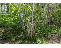 2113 Fire Lane, Torbrook, NS B0P1R0 Photo 37