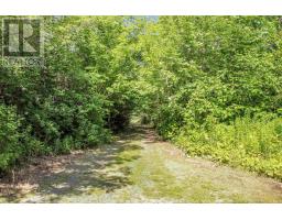 2113 Fire Lane, Torbrook, NS B0P1R0 Photo 34