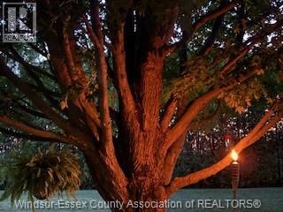 7695 County Rd 18 - Image 39