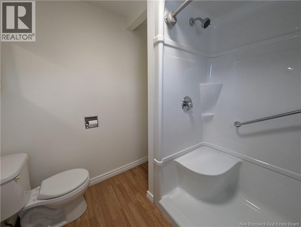 841 Helen - 10