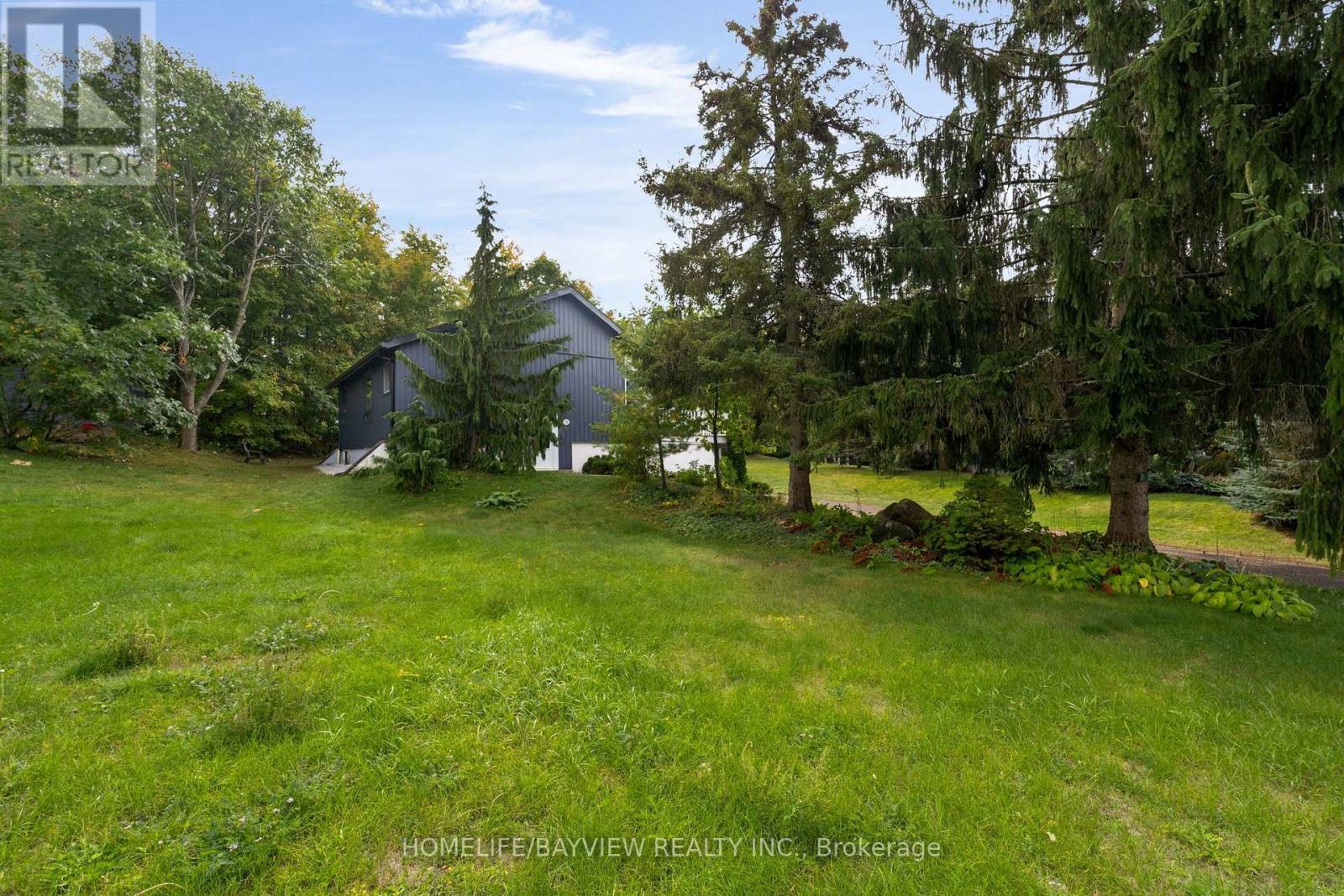 15 BIRCH GROVE DRIVE - 35