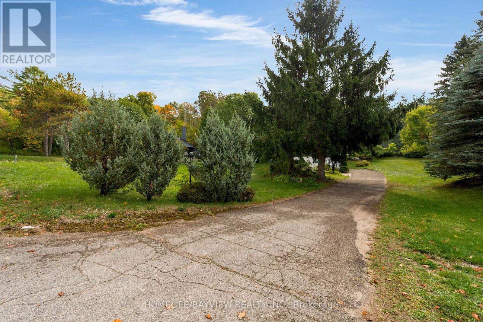 15 BIRCH GROVE DRIVE - Image 37