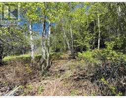 3pc Bathroom - 46 Fraserville Loop, East Fraserville, NS B0M1S0 Photo 8
