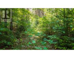 7 Mcmullen Drive, Perry, ON P0A1J0 Photo 29