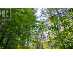 7 Mcmullen Drive, Perry, ON P0A1J0 Photo 30