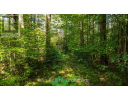 7 Mcmullen Drive, Perry, ON P0A1J0 Photo 31