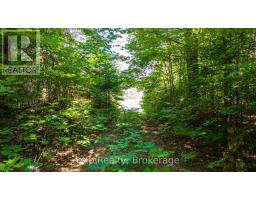 7 Mcmullen Drive, Perry, ON P0A1J0 Photo 32