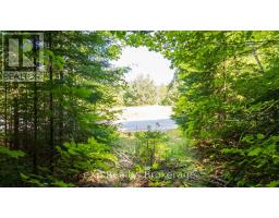 7 Mcmullen Drive, Perry, ON P0A1J0 Photo 33