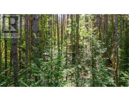 7 Mcmullen Drive, Perry, ON P0A1J0 Photo 7