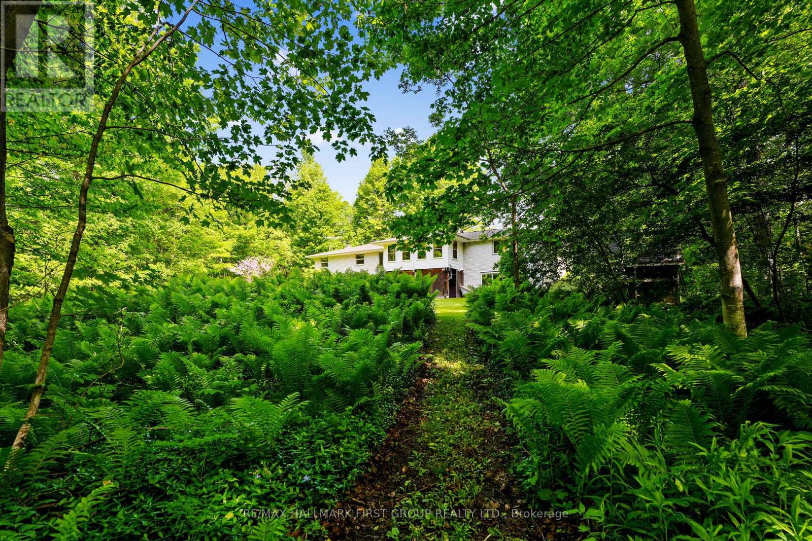 452 GULLY ROAD - 46