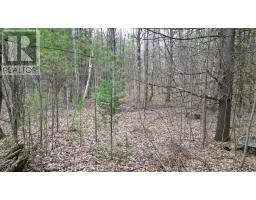 2493 Housey's Rapids Road, Kawartha Lakes, ON L0K2B0 Photo 10