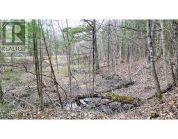 2493 Housey's Rapids Road, Kawartha Lakes, ON L0K2B0 Photo 11